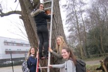 Nesting Boxes Receive Spring Clean In The Eco Garden 