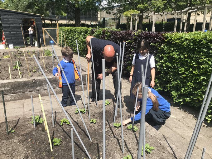 Student outdoor activities in the allotment